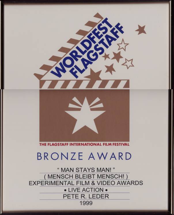 bronze award